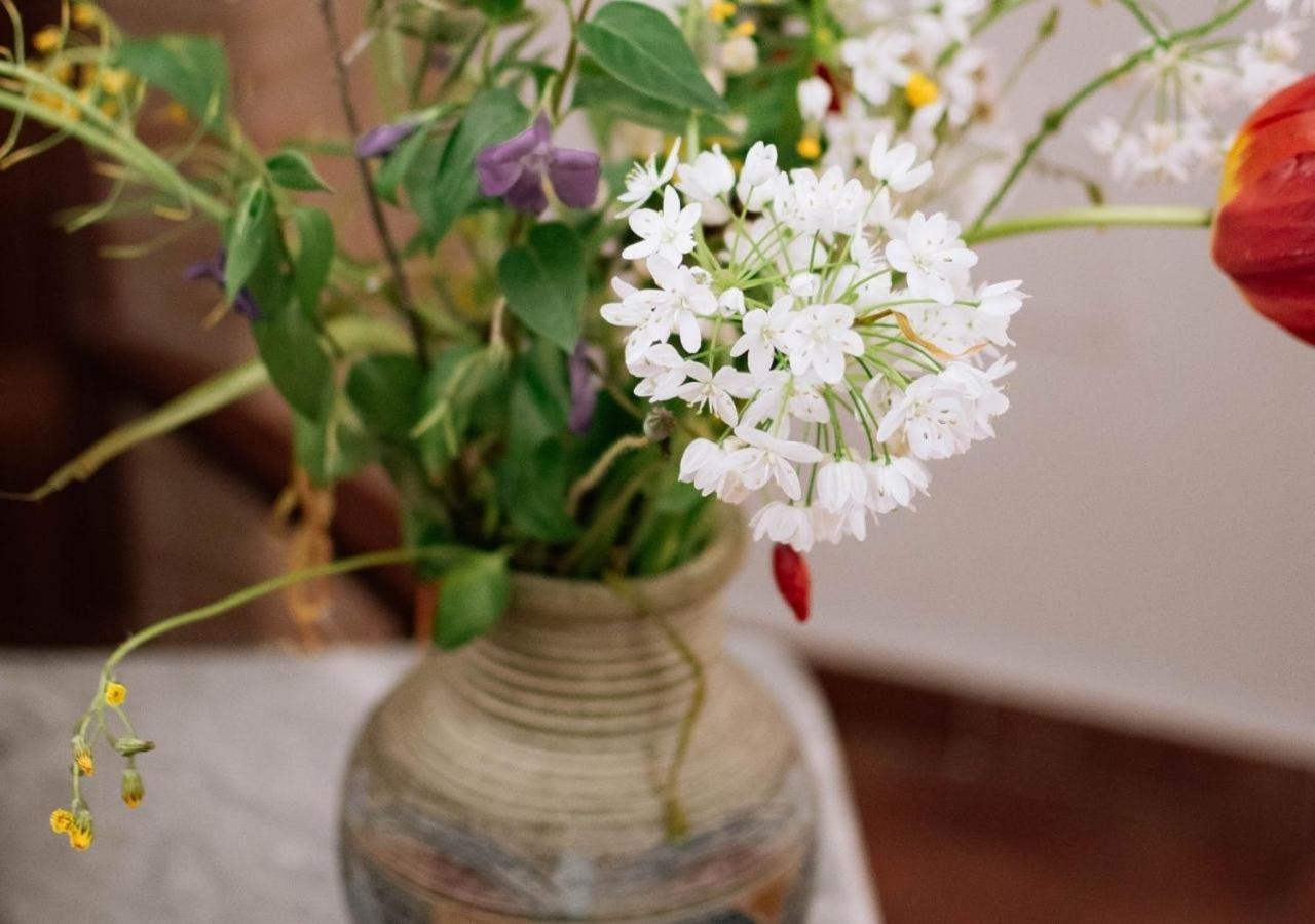 Agriturismo Il Sentiero Degli Ulivi - Irpinia Venticano エクステリア 写真